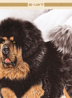 藏獒图 雪域雄风宠物狗犬动物画卷轴挂画 书房客厅装饰画定制订做