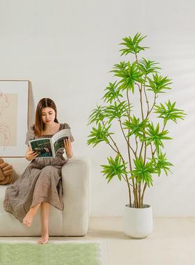 仿真07320926花绿植端合竹高轻奢仿生植百物客厅电柜落地装视饰假