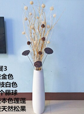 天然云柳干枝天然树枝装饰 客厅落地玄关隔断橱窗干枝装饰花干花