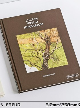 抽象油画装饰真书中古侘寂风样板间会所书房茶几英文艺术书籍摆件