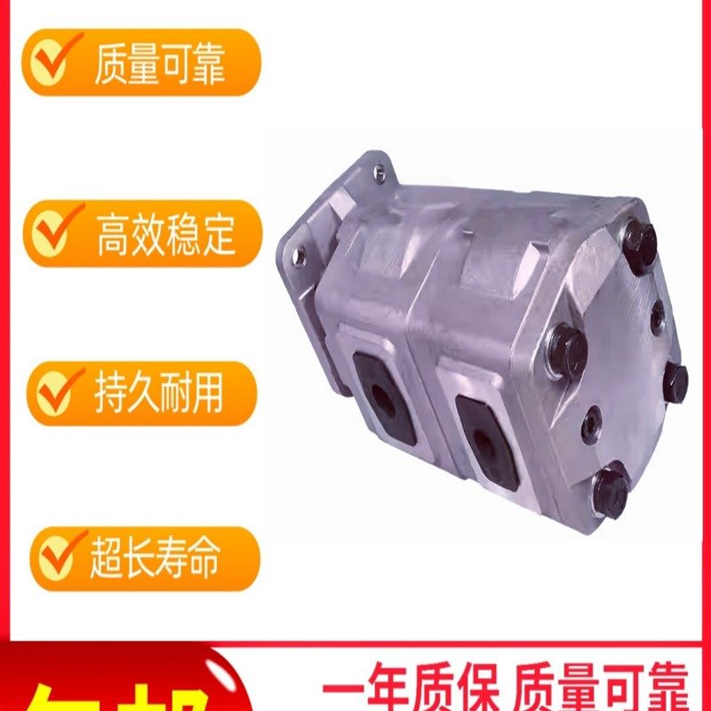 CBZ2050/2050-BFH齿轮油泵CBZ2063/2032-BFH CBZ2063/2032-BFHL,淘宝优惠券,粉丝福利购,淘宝优惠卷