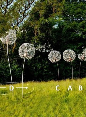 铁艺镂空蒲公英雕塑仿真编织植物摆件学校幼儿园草坪美术馆装饰品