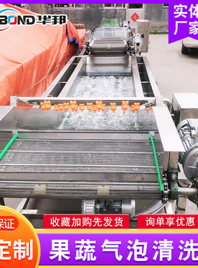 果蔬气泡清洗机不锈钢龙须菜清洗机净菜清洗设备鱼腥草清洗线