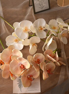 仿真花艺摆件手感PU蝴蝶兰套装假花装饰花束干花客厅室内绢花摆设