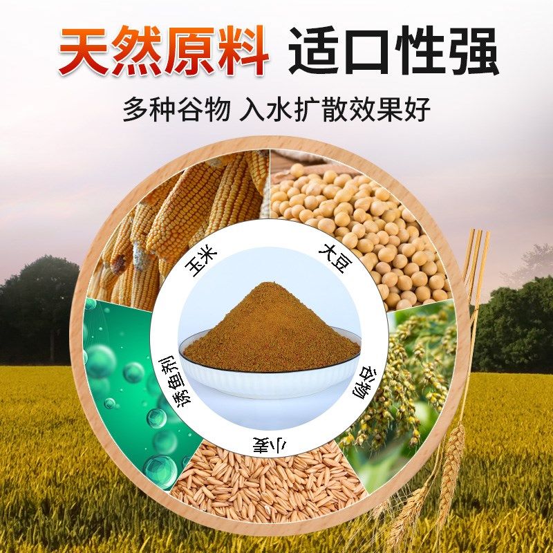 贾东普抢鱼版福面面原味高蛋白小黄面大颗粒黑坑鲤鱼软粘散炮饵料,淘宝优惠券,粉丝福利购,淘宝优惠卷