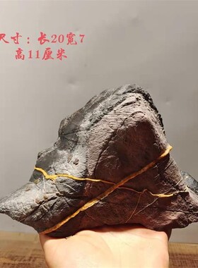 灵璧石 盆景石 鱼缸造景 龟纹石 根抱石 花盆造景  盆景石料