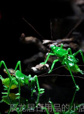 正品琉璃彷真蝈蝈螳昆虫小摆件微盆景观人装饰玻送父亲老璃工螂艺