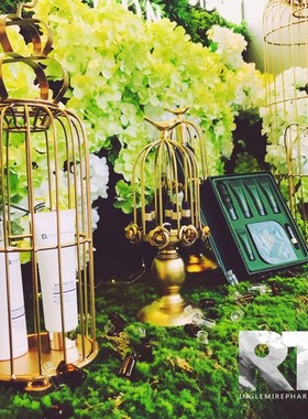 鸟笼式橱窗摆件样板房装饰道具咖啡厅软装饰品婚庆甜品台装饰摆件