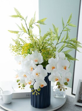 假花蝴蝶兰仿真花摆件客厅插花仿生手感花卉高级感餐桌玄关装饰品