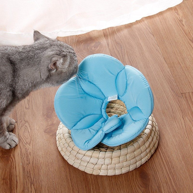 吉仔仔伊丽莎白圈猫咪项圈头套防咬防舔猫咪耻辱圈宠物用品防护罩,淘宝优惠券,粉丝福利购,淘宝优惠卷