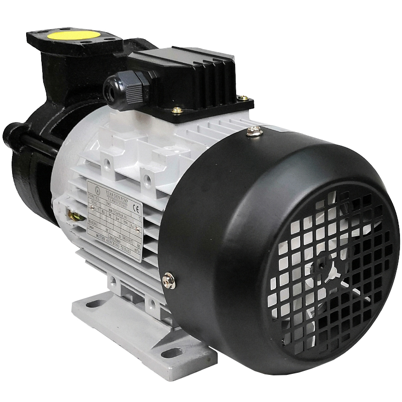 原装元欣元新模温机水泵YS-15C 模温机油泵 模温机水封轴封油封 - 图3