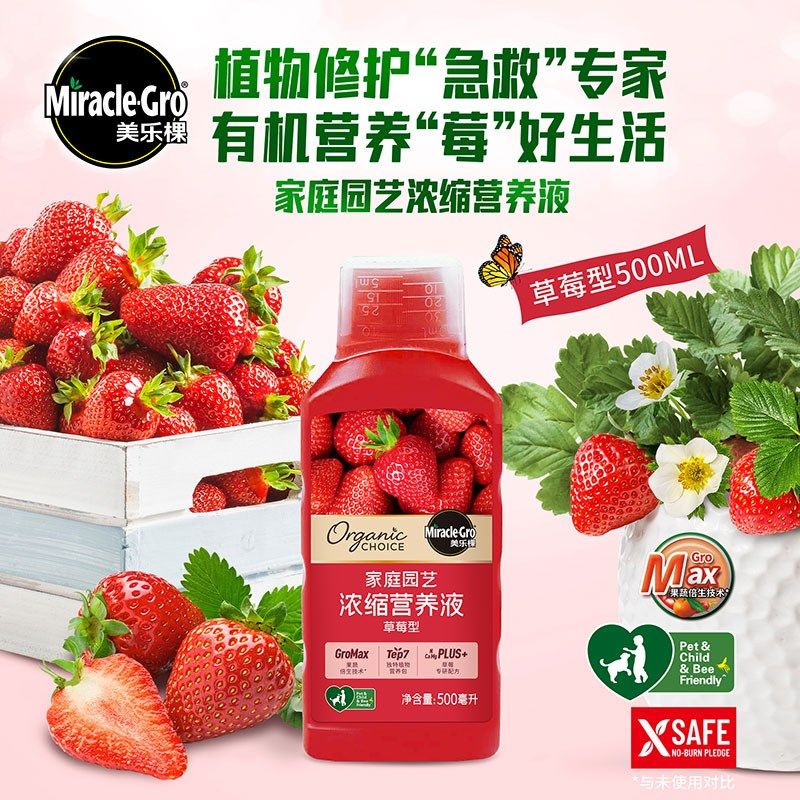 美乐棵草莓营养液家庭种植草莓专用钾钙镁配方增产易吸收水溶肥料,淘宝优惠券,粉丝福利购,淘宝优惠卷