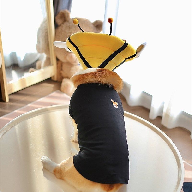 宠物伊丽莎白圈加深狗狗防咬防舔防水头套软耻辱脖圈柯基绝育用品,淘宝优惠券,粉丝福利购,淘宝优惠卷