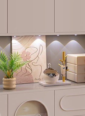 入户玄关鞋柜钥匙收纳家居好物客厅电视柜桌面摆件高级感小众装饰