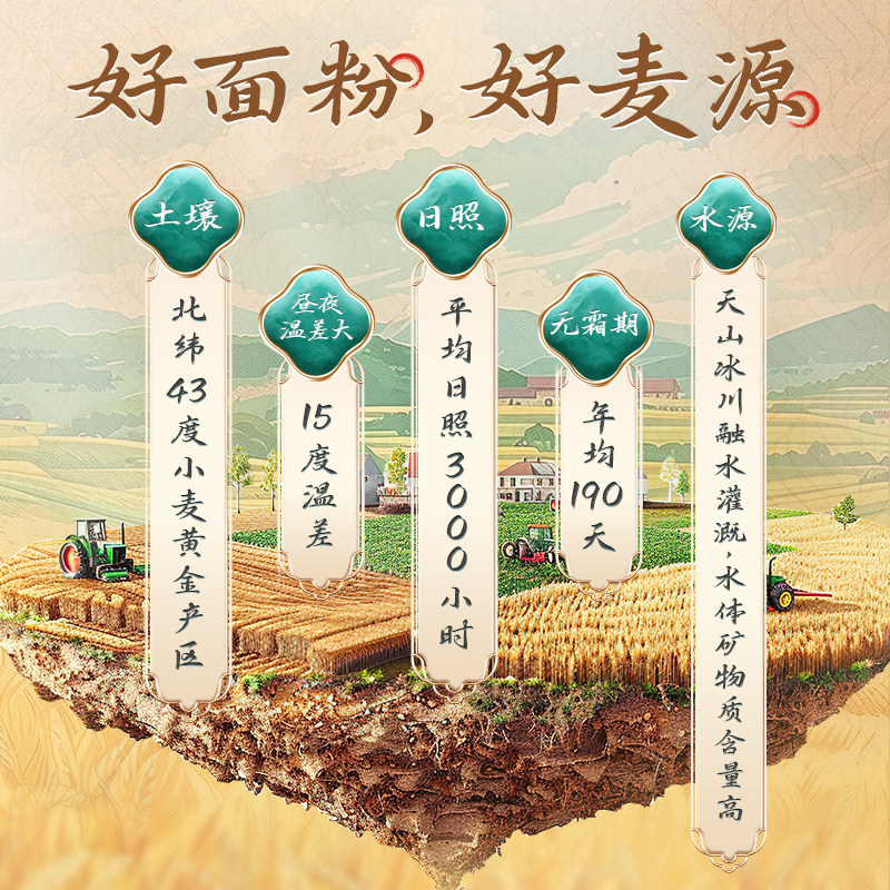 新疆雪花粉新麦都九钻雪花小麦粉奇台中高筋饺子馒头烘焙家用面粉