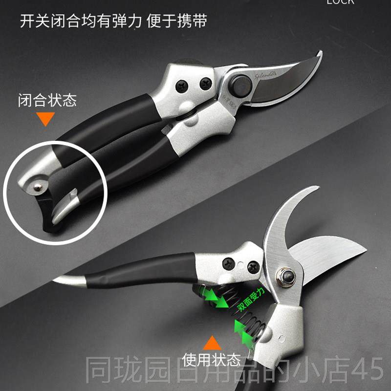 正品佐枝佐木修枝剪剪014树剪手剪用花枝园艺修剪工家具粗枝剪刀,淘宝优惠券,粉丝福利购,淘宝优惠卷