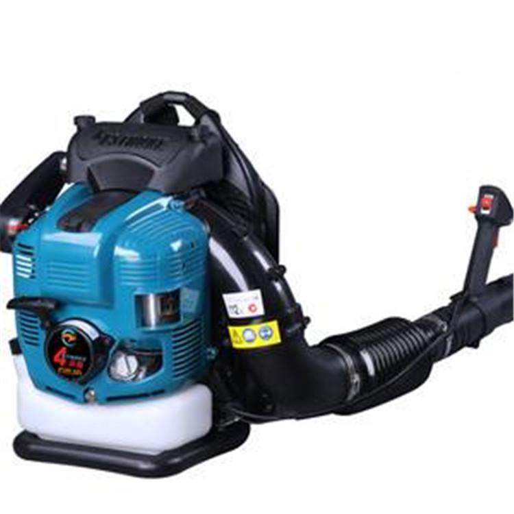 多用风力火手动鼓风途机道威RCW尔EB850四冲什程大功灭率汽油吹风,淘宝优惠券,粉丝福利购,淘宝优惠卷