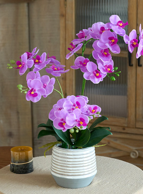 高档pu手感蝴蝶兰仿真花客厅摆件电视柜餐桌装饰摆设假花兰花盆栽