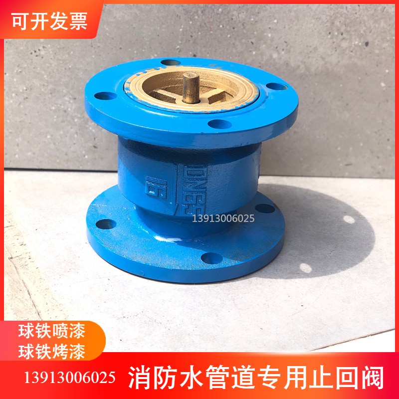 消声止回阀 HC41X-16Q 单向逆止阀 法兰止回阀 DN40 50 65 80 100 - 图0