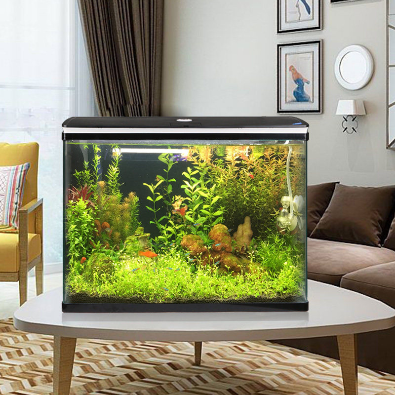 森森鱼缸中型底过滤金鱼缸家用上滤玻璃生态大鱼缸客厅水族箱,淘宝优惠券,粉丝福利购,淘宝优惠卷