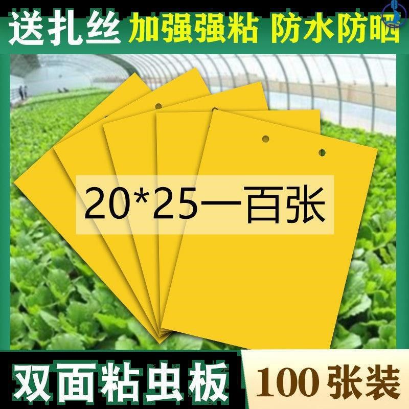 杀虫贴 粘虫板粘板果园温室除虫粘飞虫纸 粘虫板菜园种菜害虫茶叶,淘宝优惠券,粉丝福利购,淘宝优惠卷