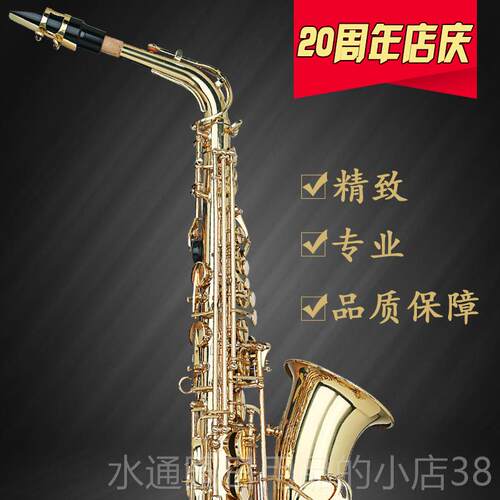 正品YOUNG阳歌降e调Y考AS-16风中音萨克学斯乐器级初者演奏包邮顺 - 图0