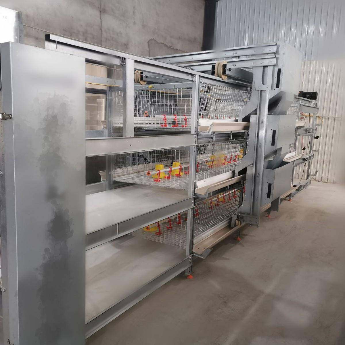 框架自动化肉鸡笼多层阶梯式蛋鸡笼加粗养殖笼热镀锌鸡笼养殖设备,淘宝优惠券,粉丝福利购,淘宝优惠卷