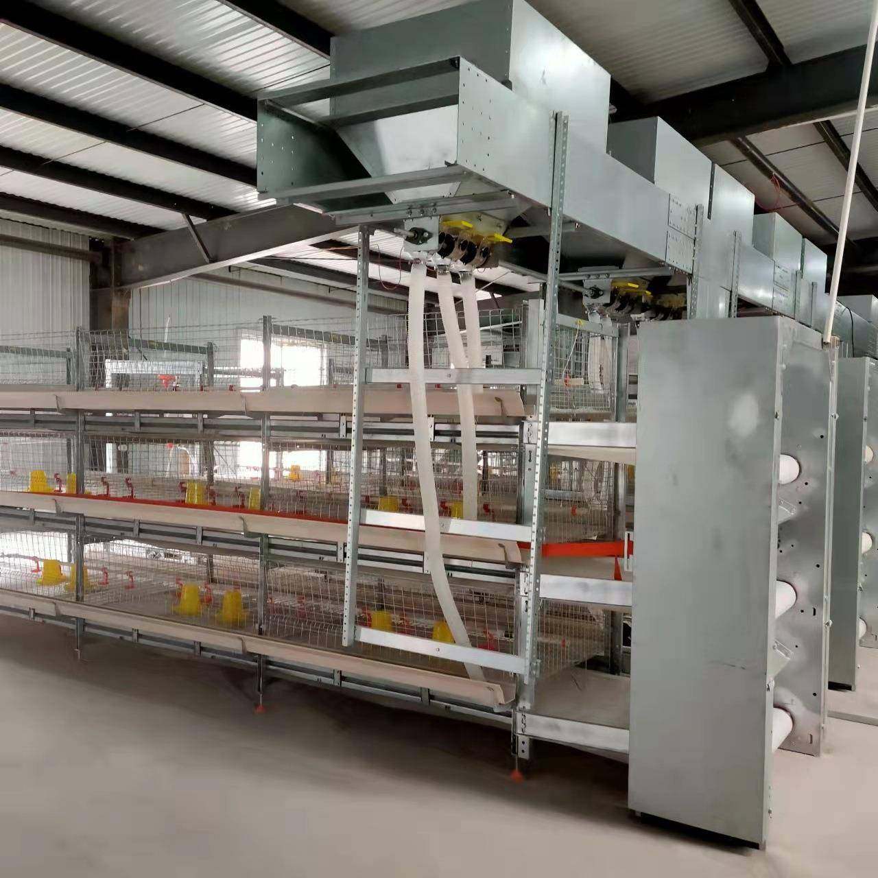 框架自动化肉鸡笼多层阶梯式蛋鸡笼加粗养殖笼热镀锌鸡笼养殖设备,淘宝优惠券,粉丝福利购,淘宝优惠卷