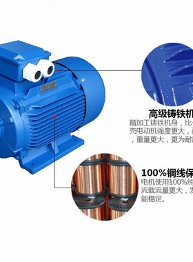 YE3系列马达三相马达异步电动机YE3-100L-23KW2极三相异步电机