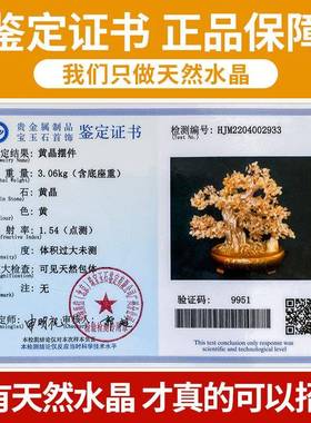 天然63031037黄水晶原钱树摆件石金摇奢招发财开业送礼酒电视柜装