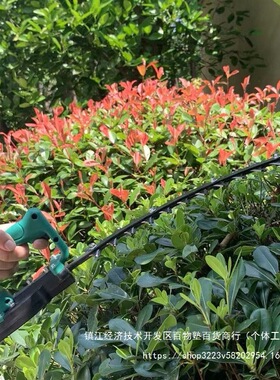 弧形电动绿篱机充电式篱笆剪球型单手绿篱剪手持修剪机茶树修枝剪