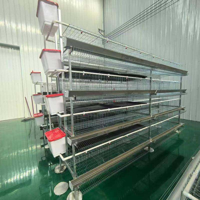 粪盘蛋鸡笼厂家镀锌材质三层四层自动清粪养鸡笼家用养殖鸡笼,淘宝优惠券,粉丝福利购,淘宝优惠卷