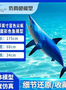 仿真鱼模型蓝色尖鲨鱼雕塑摆件室内装饰玻璃钢雕塑海洋工艺品挂饰