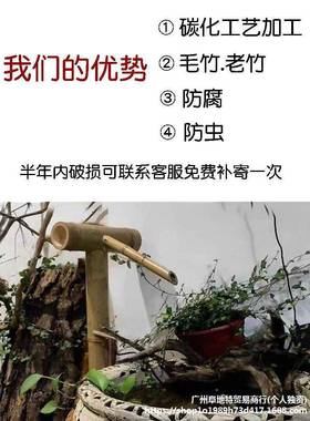 流落水器水摆件过滤竹筒水循环系ali—821统竹泵日式石槽鱼缸缸地