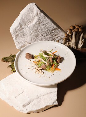 石头摄影道具森林场景白色肌理不规则化妆品拍照背景诧寂风陈列