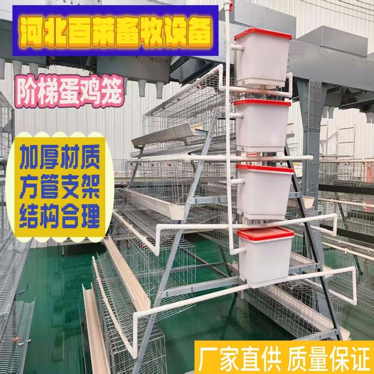 热镀锌阶梯蛋鸡笼耐腐蚀耐用商用阶梯蛋鸡笼层间错位防粪便污,淘宝优惠券,粉丝福利购,淘宝优惠卷