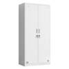 Thickened two-door iron leather double-door public storage cabinet with 985 lock factory employee dormitory bathroom two-door replacement