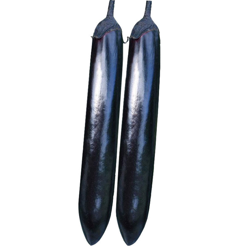 茄子苗秧苗蔬菜苗大全四季盆栽阳台种植带土黑紫长茄苗紫圆茄苗,淘宝优惠券,粉丝福利购,淘宝优惠卷