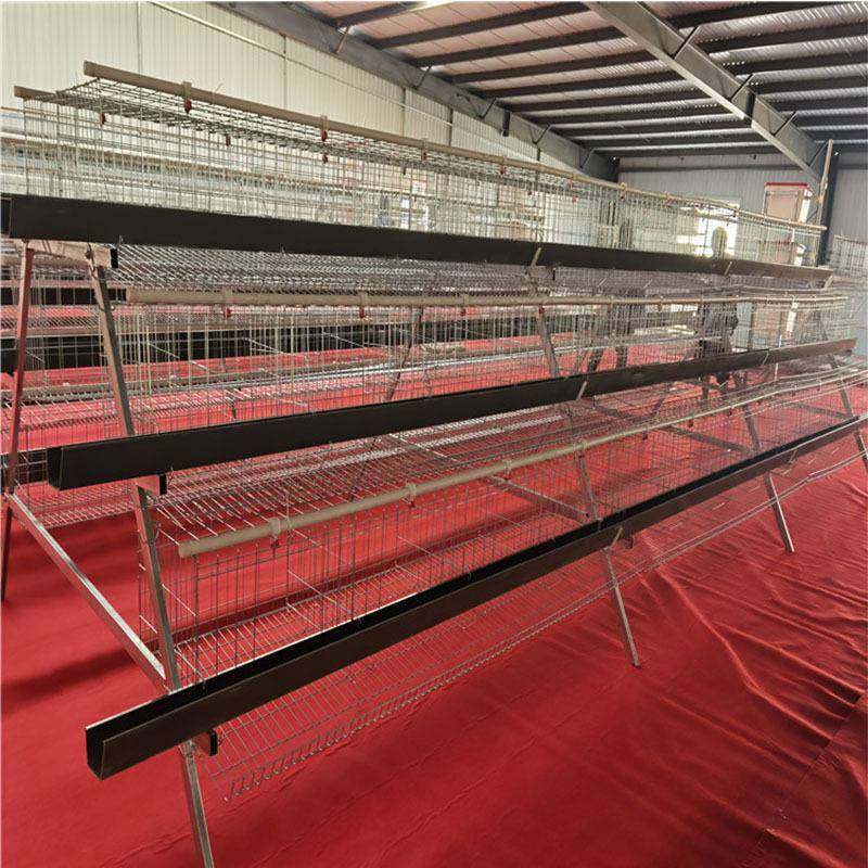 蛋鸡笼笼具阶梯式蛋鸡笼冷镀锌鸡笼鸡笼厂家,淘宝优惠券,粉丝福利购,淘宝优惠卷