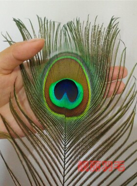 家居饰品摆件孔雀羽毛纯天然真孔雀毛花瓶装饰品孔雀翎尾婚庆羽毛