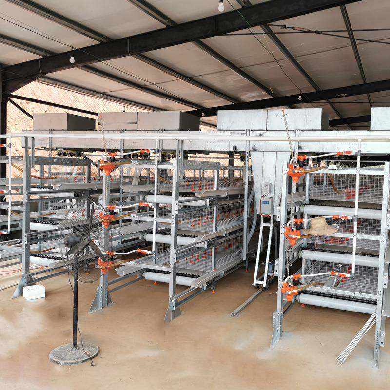 厂家供应全自动肉鸡笼框架肉鸡笼自动化清粪捡蛋养鸡养殖设备,淘宝优惠券,粉丝福利购,淘宝优惠卷