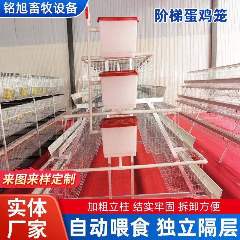 新型阶梯式四层蛋鸡笼热镀锌层叠式蛋鸡笼养设备多层自动化养鸡笼,淘宝优惠券,粉丝福利购,淘宝优惠卷