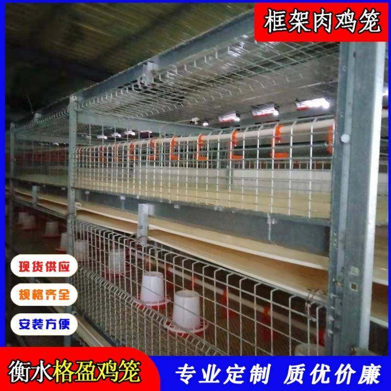 H型框架式自动化蛋鸡养殖笼肉鸡框架笼全套鸡笼设备,淘宝优惠券,粉丝福利购,淘宝优惠卷