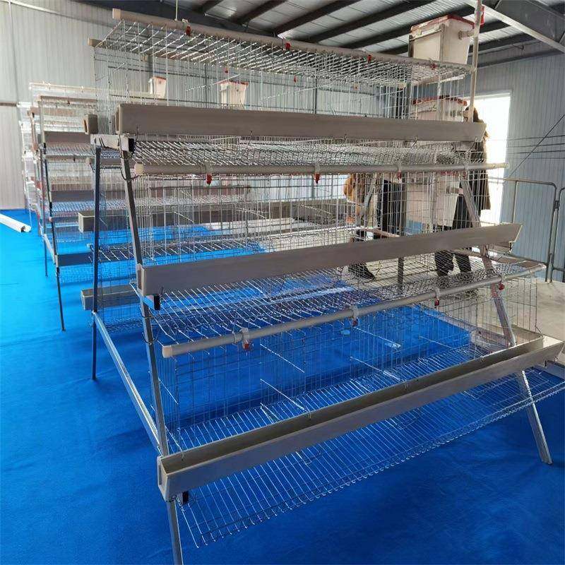 A型养殖鸡笼三层四门阶梯式热镀锌蛋鸡笼养殖场养鸡设备厂家,淘宝优惠券,粉丝福利购,淘宝优惠卷