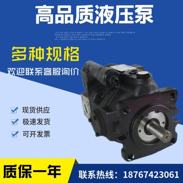 现货台湾油泵V15A1R10X V15A2R V15A3R V15A4R10X柱塞泵,淘宝优惠券,粉丝福利购,淘宝优惠卷