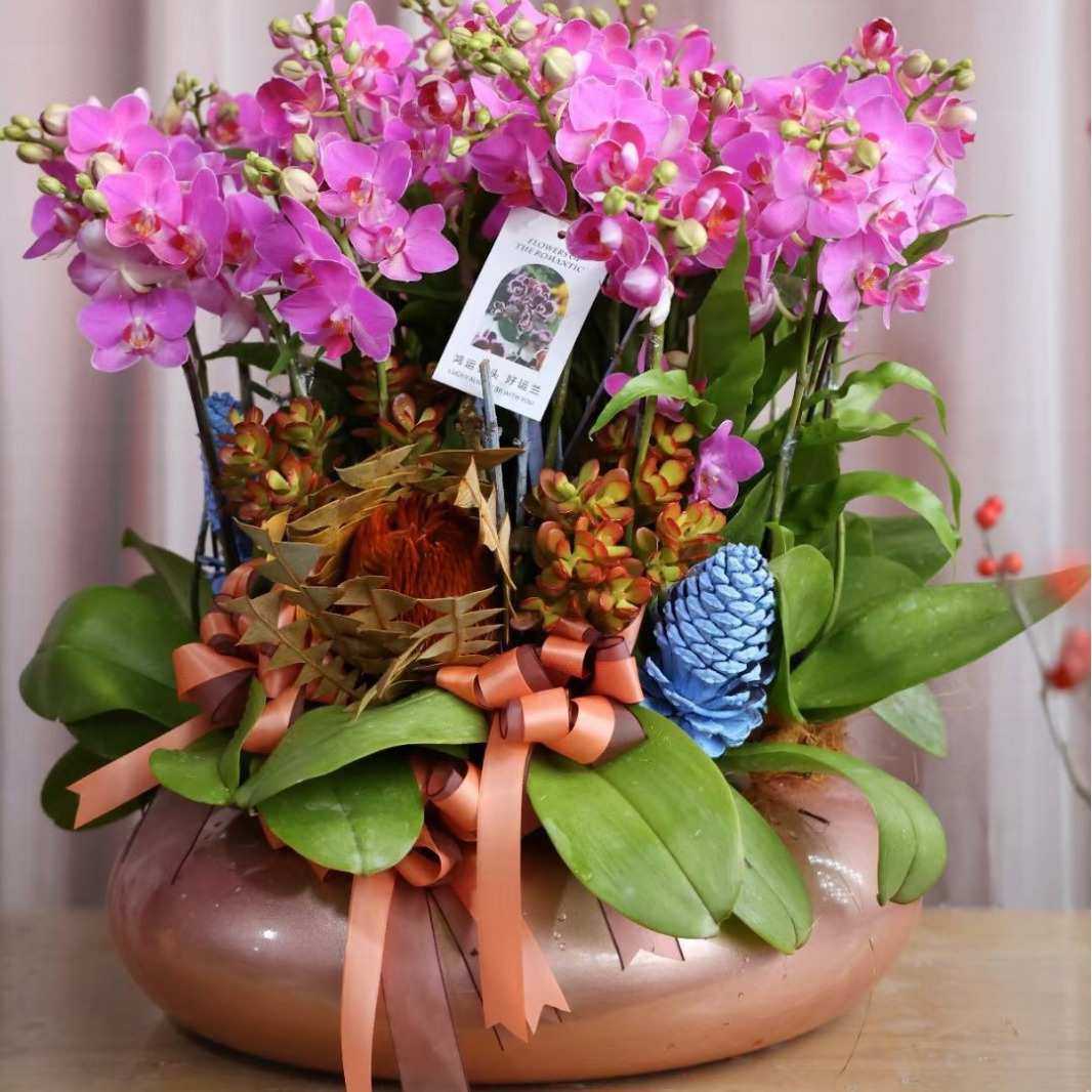 40cm口径纳米金蝴蝶兰铁艺花盆花器金属银柳盆器仿真花新中式摆件,淘宝优惠券,粉丝福利购,淘宝优惠卷