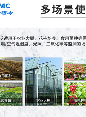 土壤温湿度传感器4G农业养殖鸡舍二氧化碳光照检测仪温室大棚温湿