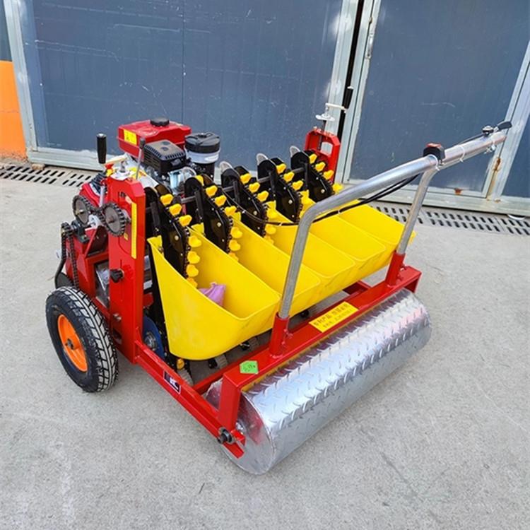 可电小动行蒜距调播蒜机汽油大蒜种植机四GVD轮带大种植机 - 图0