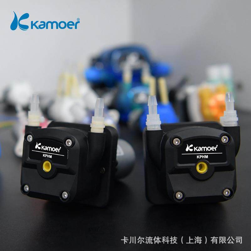 卡默尔蠕动泵12v微型水泵自吸泵迷你小泵24v小型直流有刷抽水泵,淘宝优惠券,粉丝福利购,淘宝优惠卷