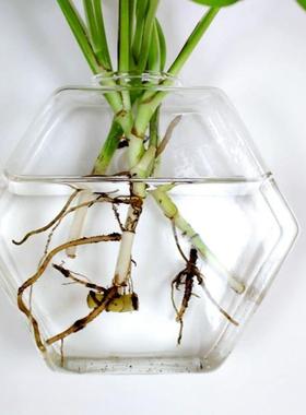 创意六角壁挂玻璃花瓶 六角形花瓶4个装水培植物花瓶家居墙壁花瓶